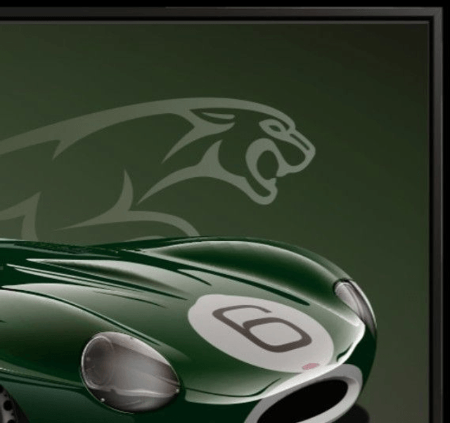 Jaguar D Type - Le Mans 1955 - VERY LIMITED EDITION